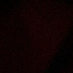 Meet your Posher, Janelle